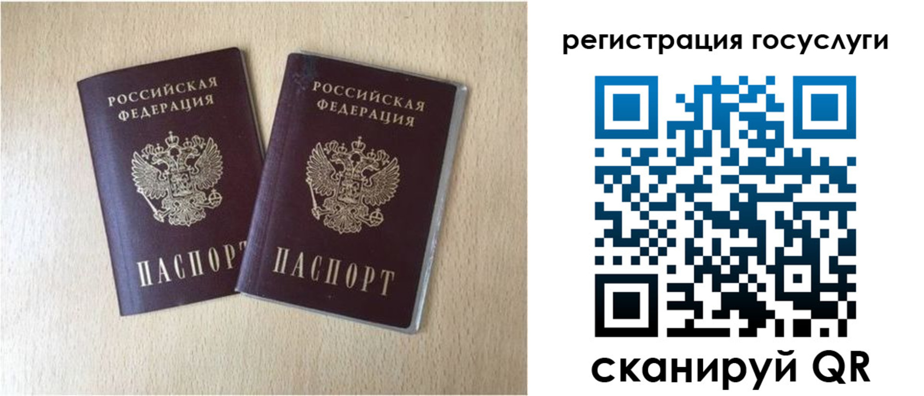 купить прописку в Елизово
