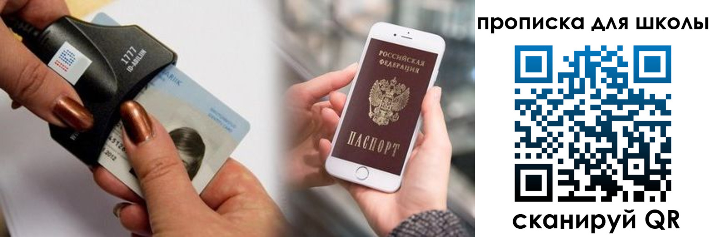 прописка от собственника в Елизово