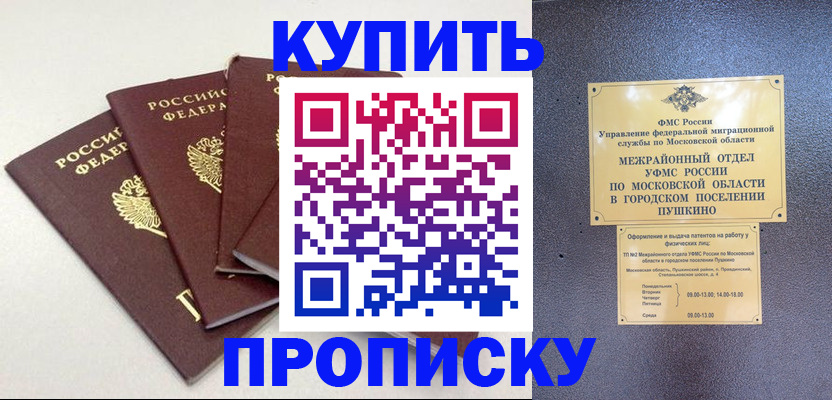 временная регистрация собственник в Елизово